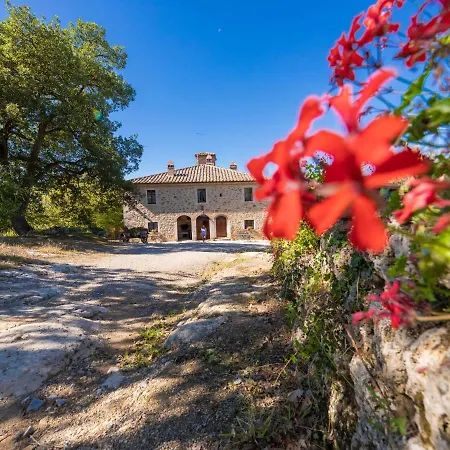 Corbezzolo Rapolano Terme